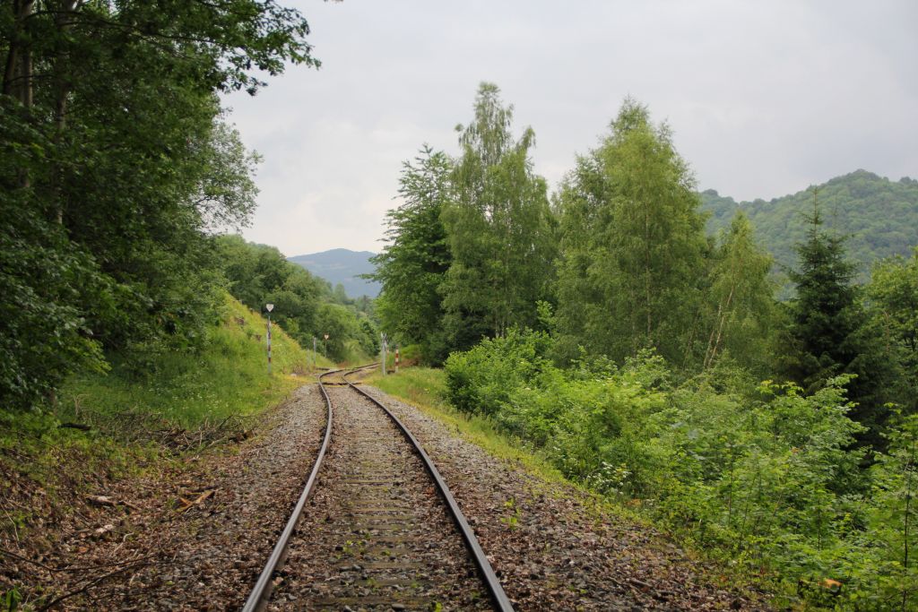 IMG_8558-Strecke-Museumsbahn-Zubrnice-oberhalb-Lestina.JPG