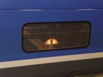 2013_03_TGV_SNCF_07.jpg