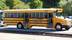 SCHOOL BUS.jpg
