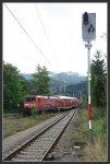 schwarzwald__183.jpg