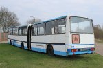 IMG_3147.jpg