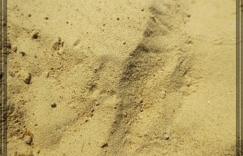 Sand, Sand, Sonne, Strand... quatsch einfach nur ein Angebot