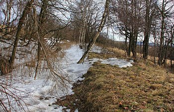 IMG_6403-Menhartice-Bahnsteigrest.JPG