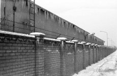 Baracke in der Beilsteiner mit Mauer.jpg