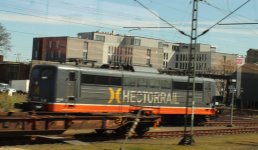 hectorrail162008.jpg