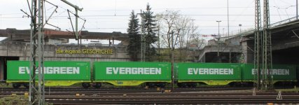 container-evergreen-viele.jpg