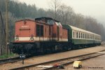 Lok 202 655 mit RB 8874 nach Freiberg in Holzhau (07.05.1996)..JPG