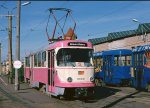 5033.jpg