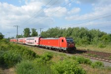 147 019 Rbf Berlin-Wuhlheide.jpg