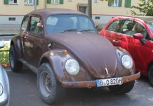 0402vw-kaefer-grosse-rader.jpg