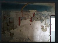IMG_9817.jpeg