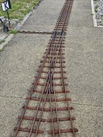 20250419_132802.jpg
