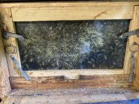 IMG_8702.jpeg