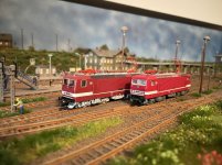 IMG_8799.jpeg