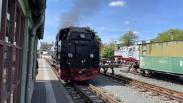 IMG_6447.jpeg