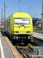 IMG_3637.jpeg