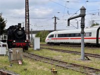 IMG_6719.jpeg