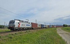 20250523_164520.jpg