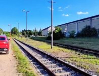 Aktuelle Sichtungen 2025