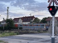 IMG_7347.jpeg