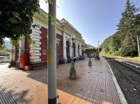 IMG_7315.jpeg