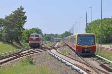 IMG_1489.jpg