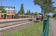 IMG_1507.jpg