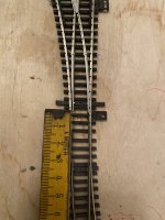 IMG_2496.jpeg
