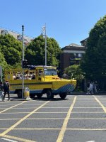 IMG_0959.jpeg