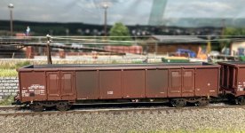 IMG_6969.jpeg