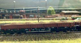 IMG_7032.jpeg