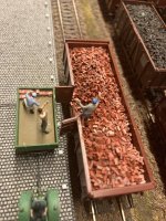 IMG_7313.jpeg