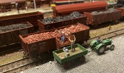 IMG_7310.jpeg