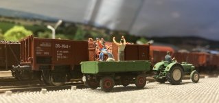 IMG_7309.jpeg