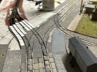IMG_0595.jpeg