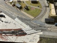IMG_0597.jpeg