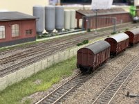 IMG_1711.jpeg