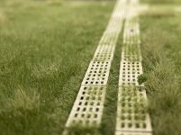 IMG_1733.jpeg