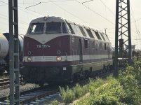 IMG_8915.jpeg