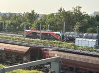 IMG_8916.jpeg