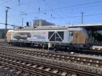 IMG_9367.jpeg