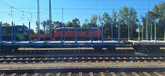 20250819_100207.jpg