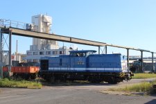 IMG_6978.JPG