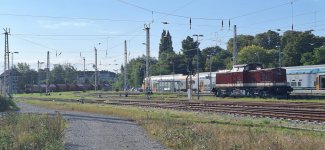20250904_093535.jpg
