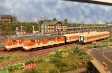 IMG_1773.jpeg
