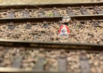 IMG_8113.jpeg