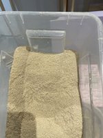 IMG_2070.jpeg