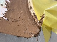IMG_2071.jpeg
