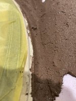 IMG_2073.jpeg