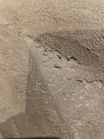IMG_2085.jpeg